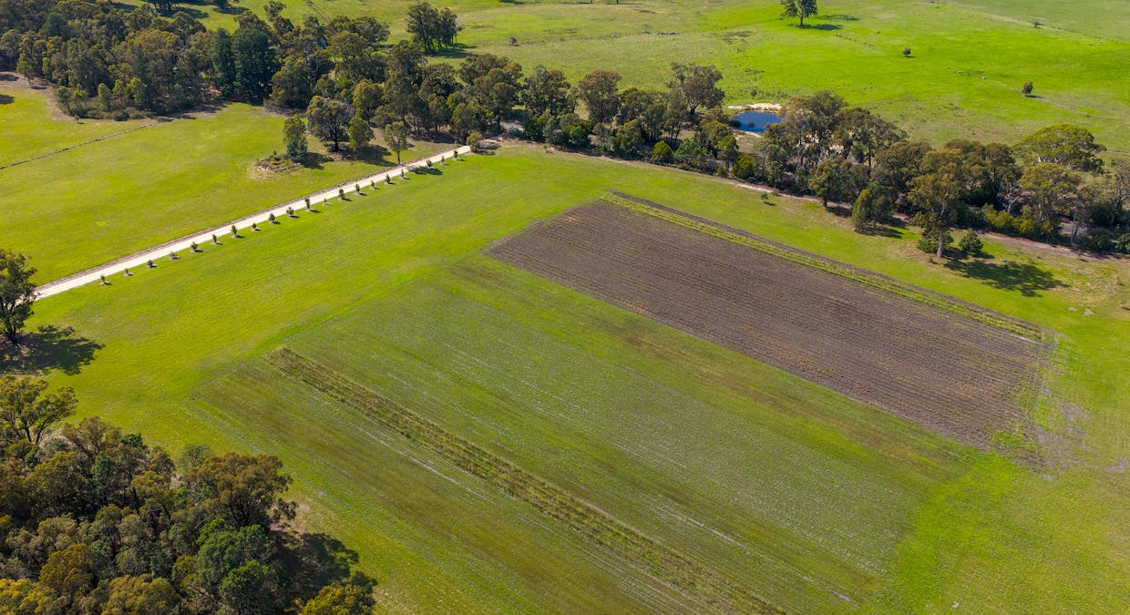 185  McNamaras Road, Sarsfield, VIC, 3875 - Image 15