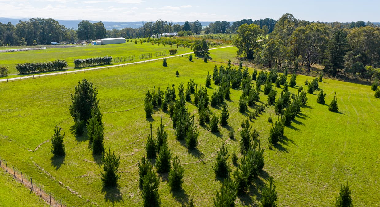 185  McNamaras Road, Sarsfield, VIC, 3875 - Image 3