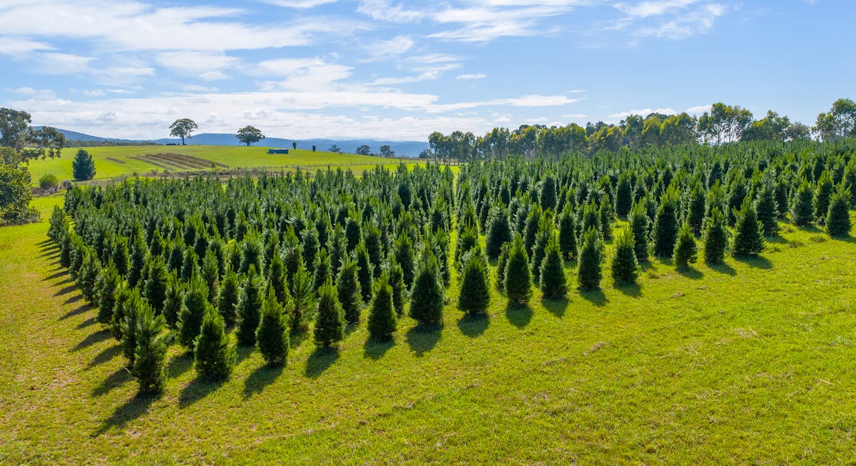 185  McNamaras Road, Sarsfield, VIC, 3875 - Image 1