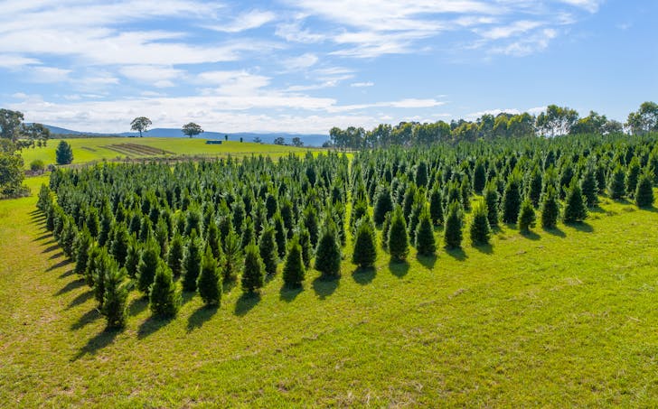 185  McNamaras Road, Sarsfield, VIC, 3875 - Image 1